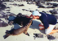 Dave seal kiss